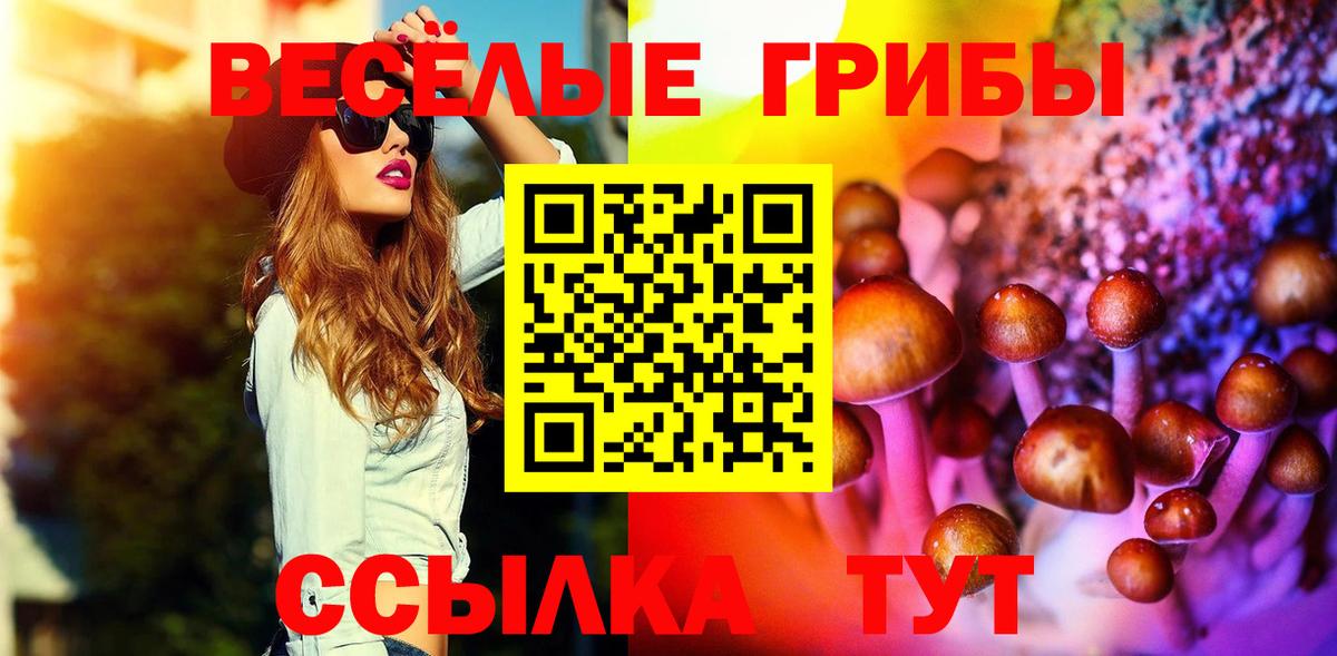 Псилоцибиновые грибы GOLDEN TEACHER Тула