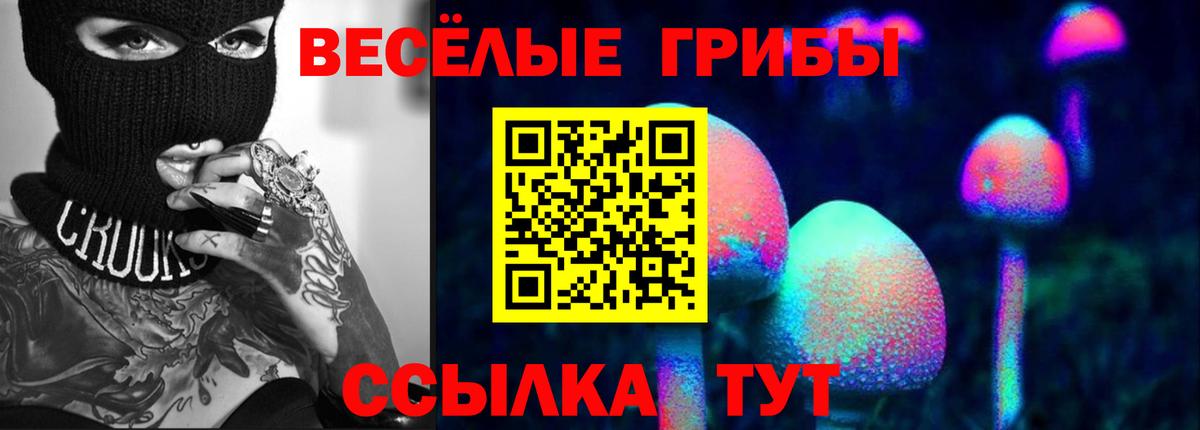Псилоцибиновые грибы Psilocybe  Галлюциногенные грибы ЛСД  Вход с VPN  Тула 